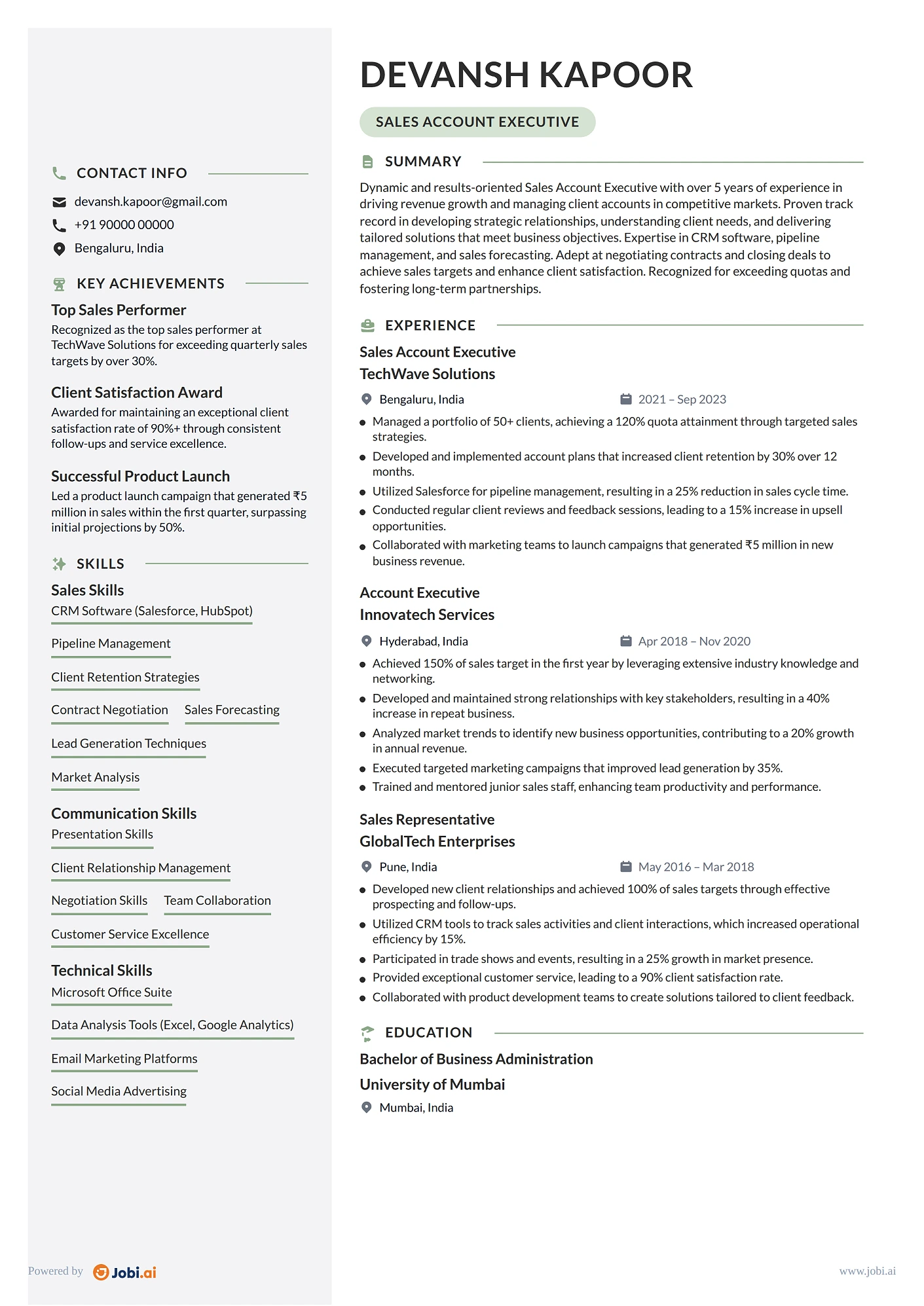 Account Manager resume example — Sales Account Executive