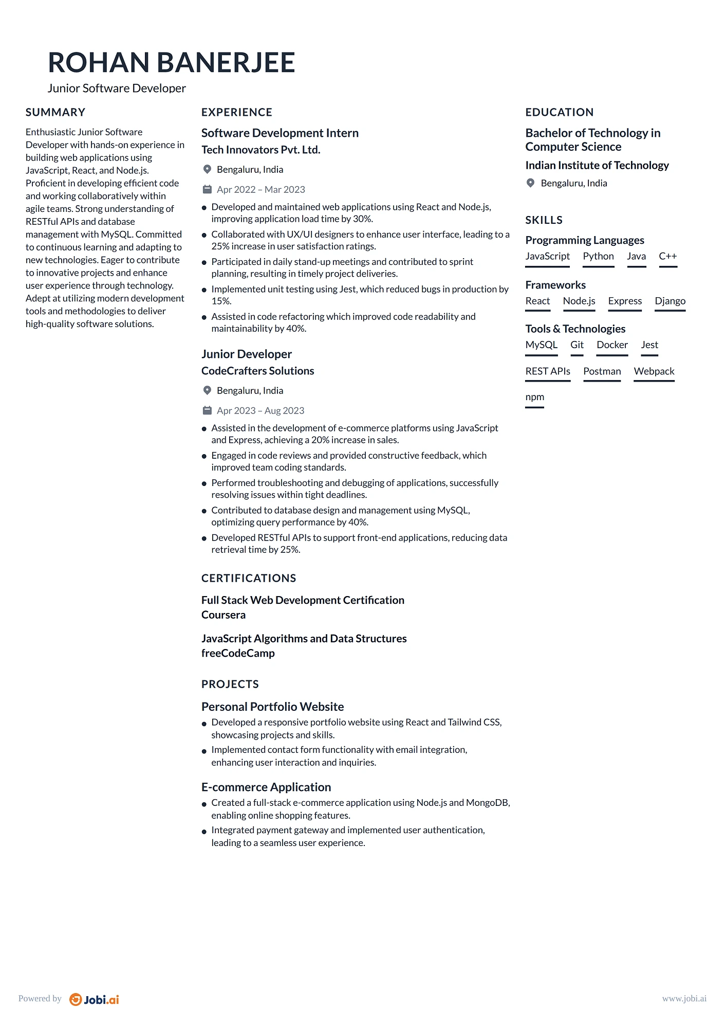 Software Developer resume example