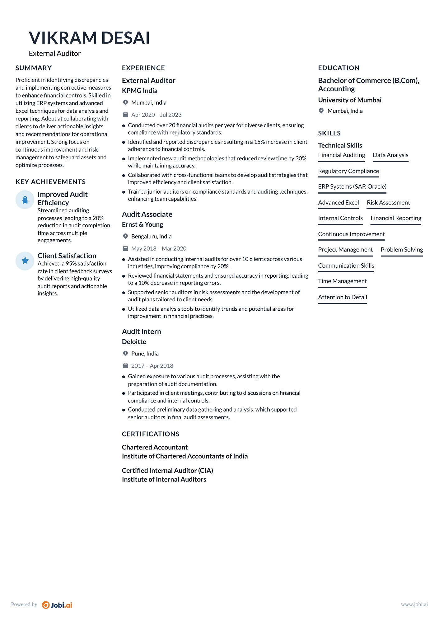 Auditor resume example — External Auditor