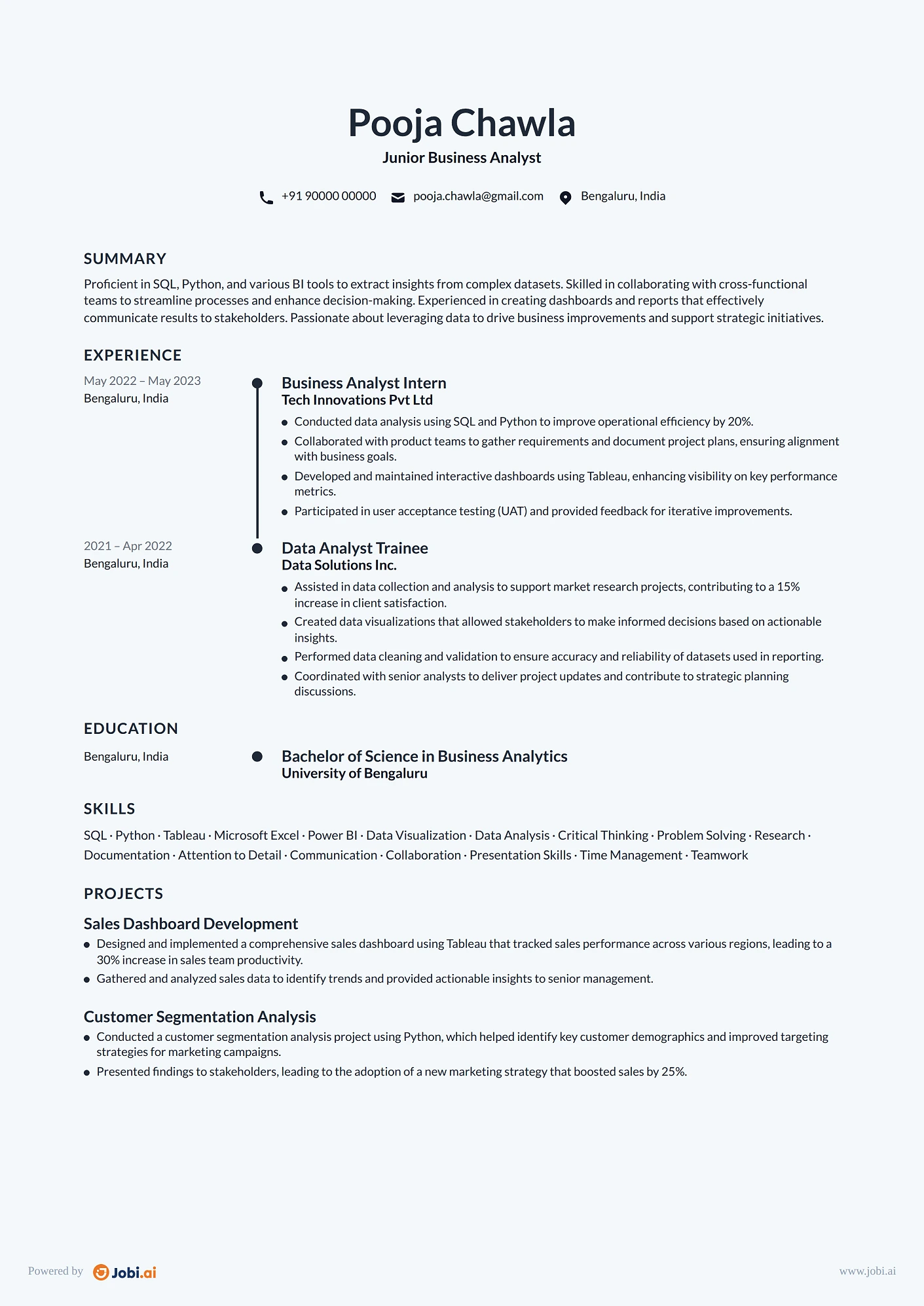 Business Analyst resume example