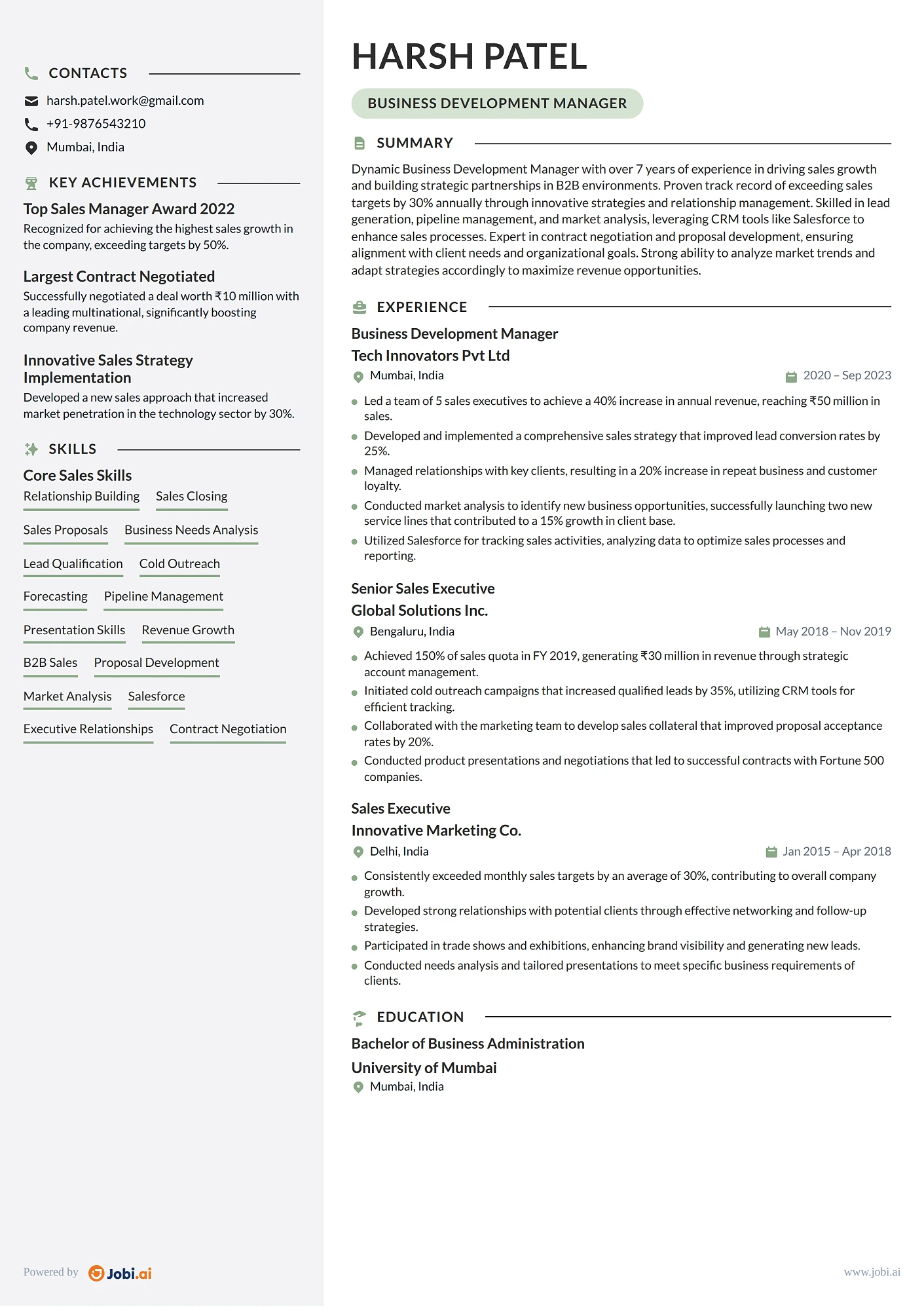 Business Development Manager resume example