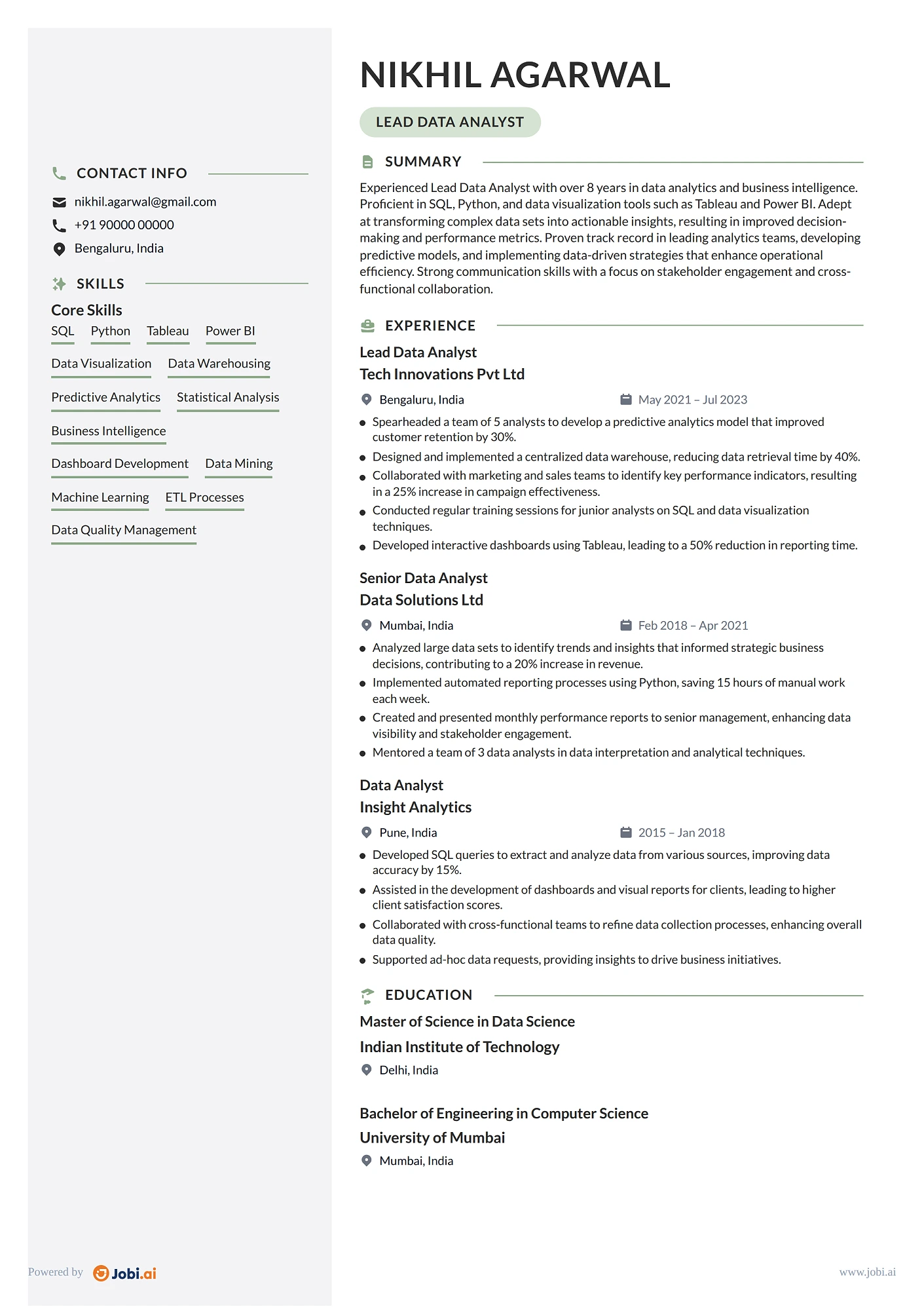 Data Analyst resume example — Lead Data Analyst
