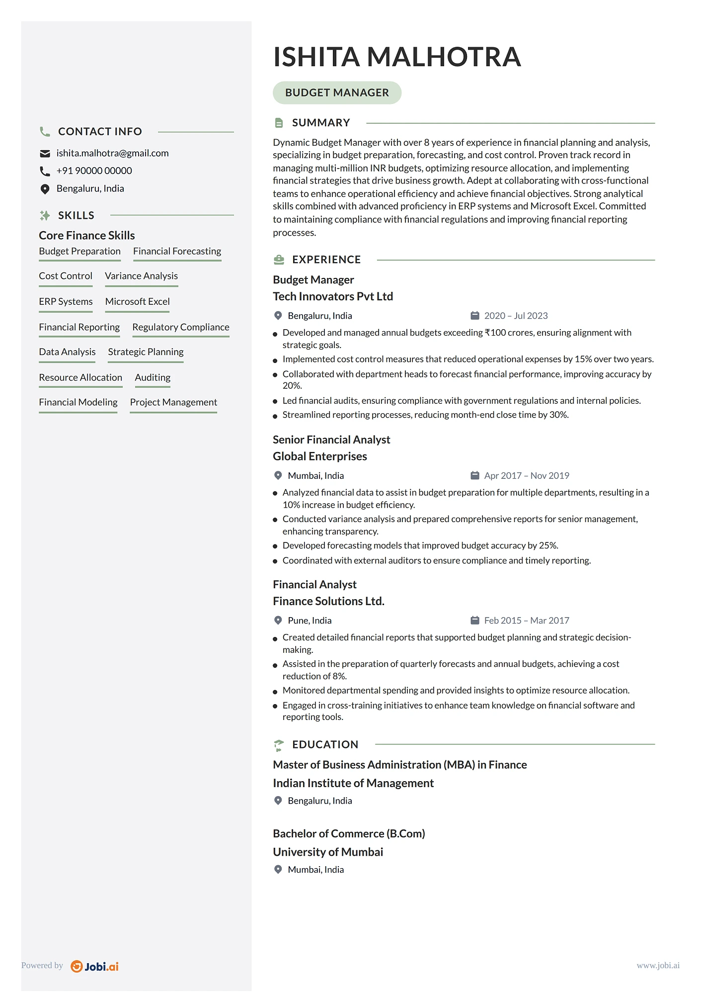 Finance Manager resume example — Budget Manager
