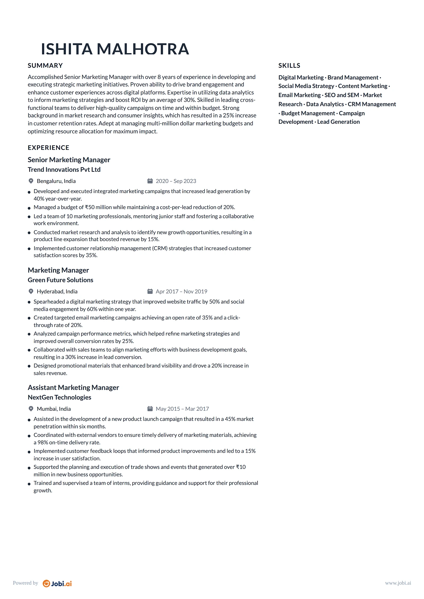 Marketing Manager resume example