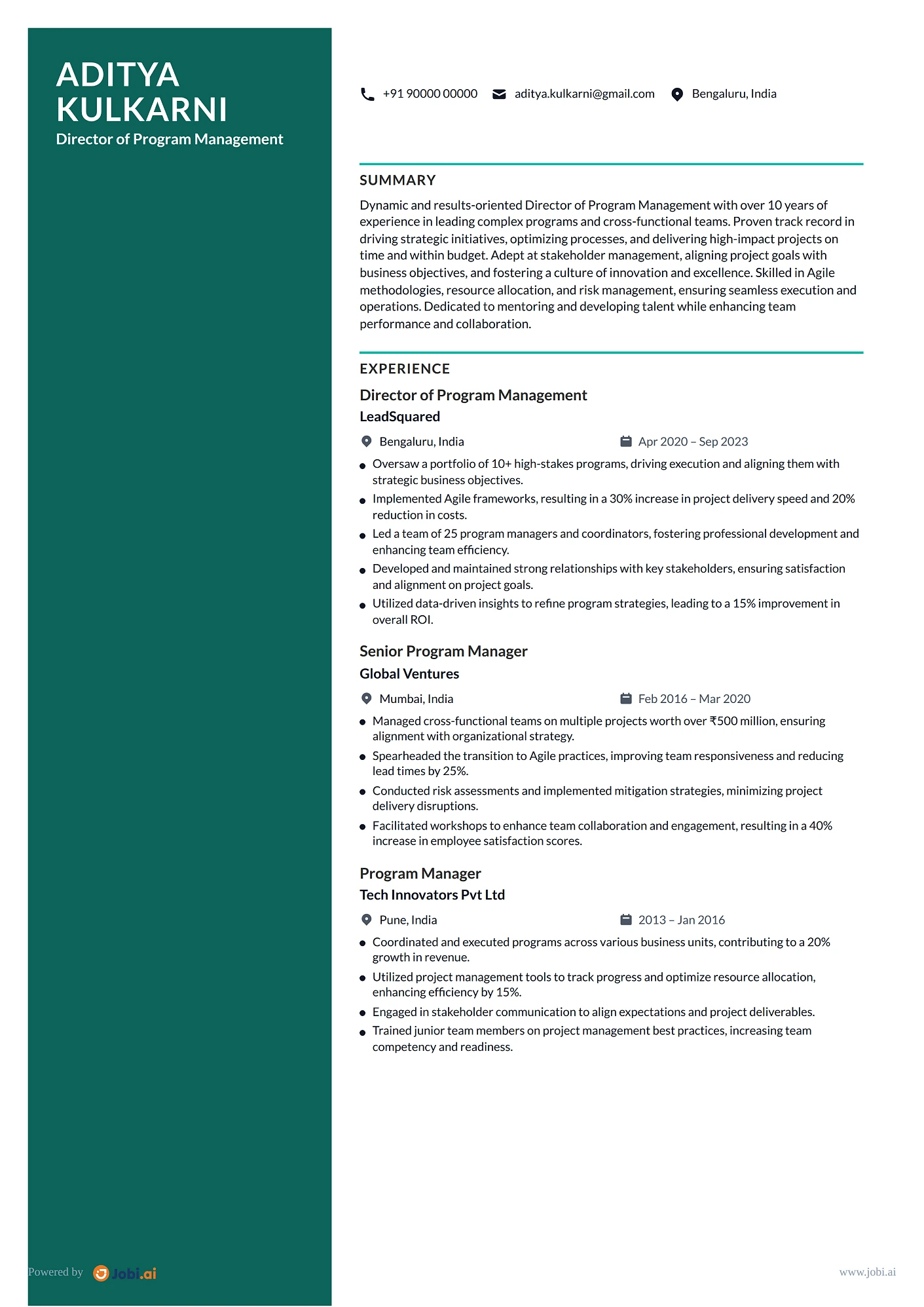 Program Manager resume example — Director of Program Management