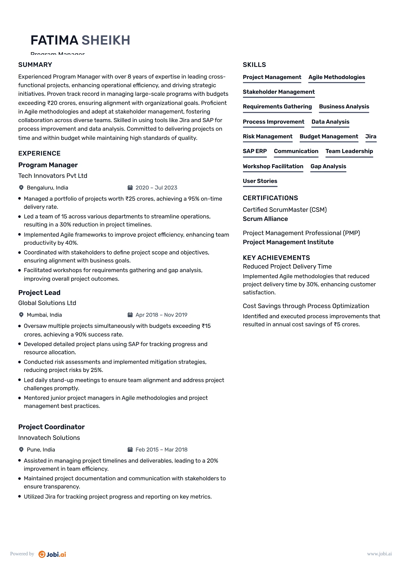 Project Manager resume example — Program Manager