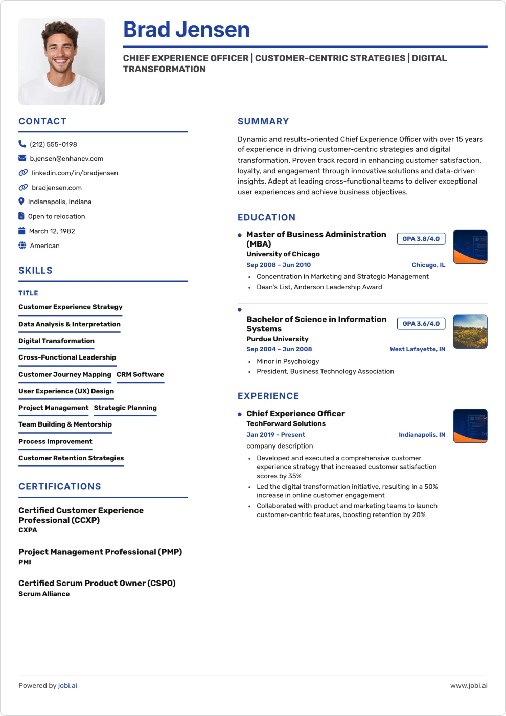Blue Dot Timeline Sidebar Resume preview