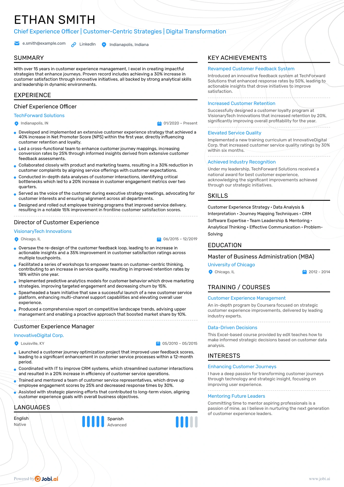 Customer Experience Executive preview