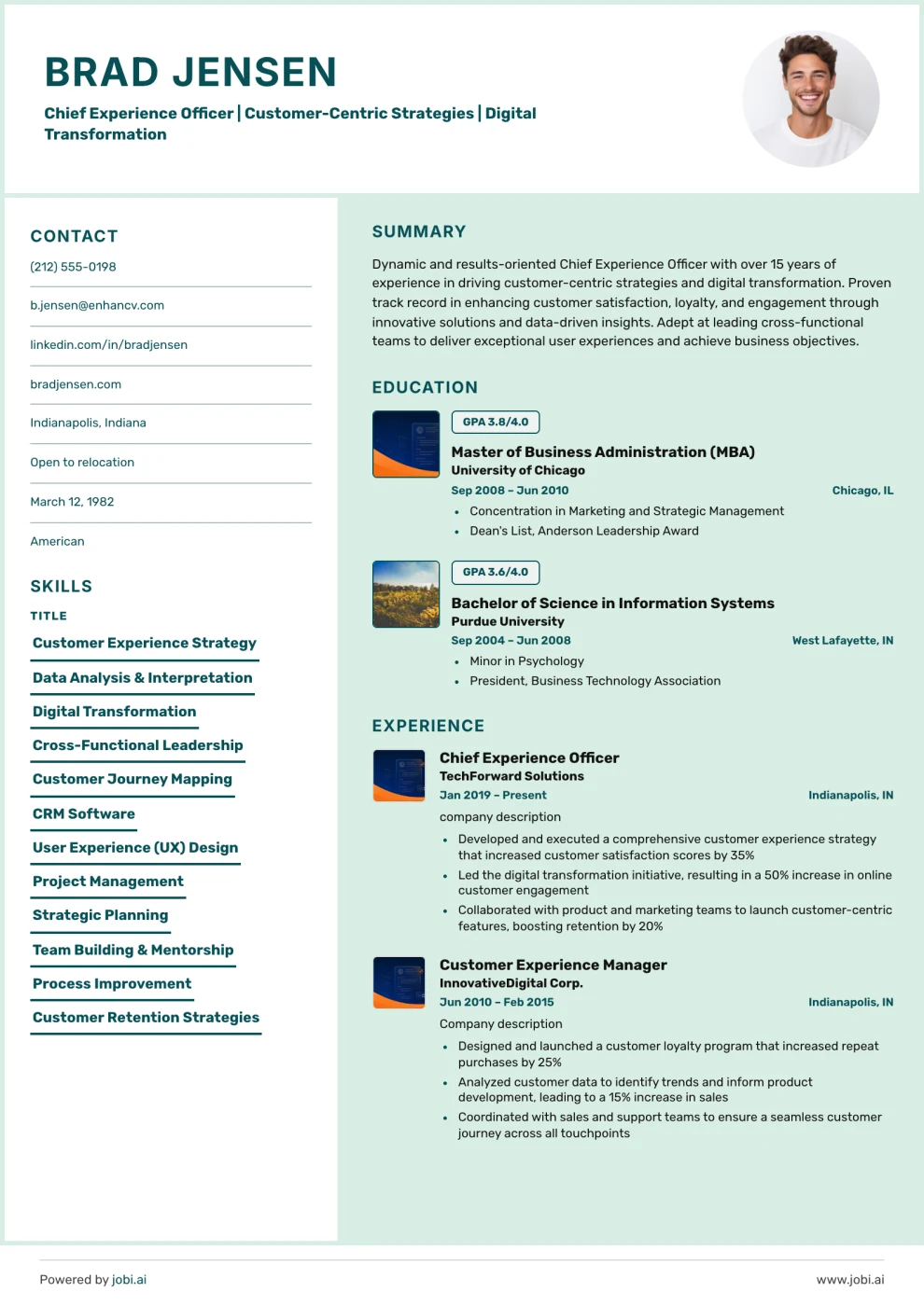 Mint Frame Panel Resume preview