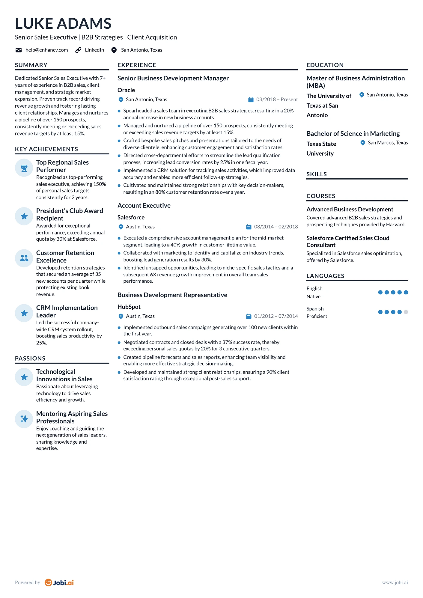 Senior Sales Executive preview